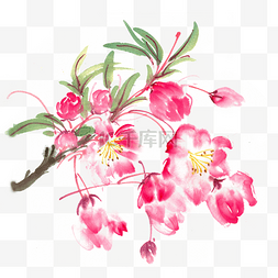 水墨画红色花图片_水墨画茂密的垂丝海棠