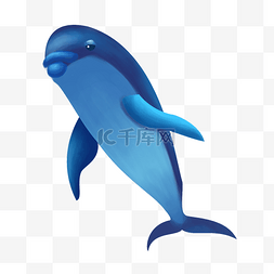 跳动的海豚图片_蓝色可爱海豚