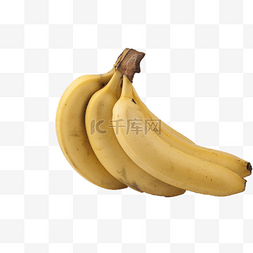 一大串美味的香蕉