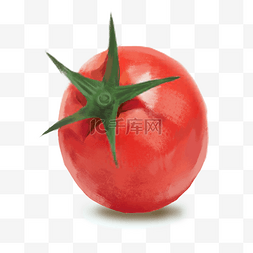 番茄图片_实物新鲜红色带藤樱桃番茄