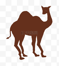 一只骆驼图片_一只骆驼
