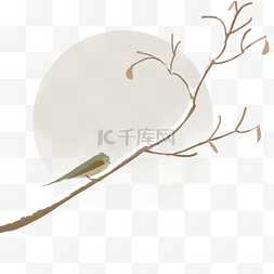小鸟图片_树枝上的小鸟