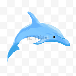 跳动的海豚图片_蓝色的鲸鱼