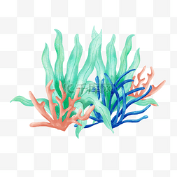 手绘海藻珊瑚