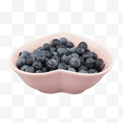 果实蓝莓