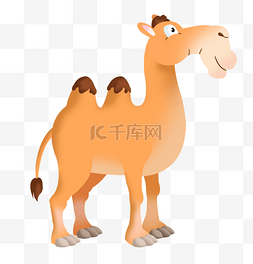 沙漠动物骆驼