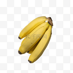 美味的香蕉图片_一串美味的香蕉