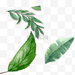 网页轮播图图图片_三片绿色的植物叶子
