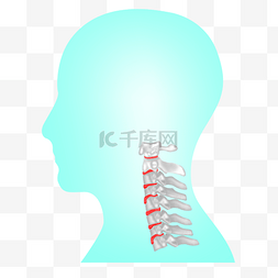 半只骨骼手图片_人体骨骼颈椎