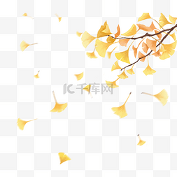 秋天天空动漫图片_秋天银杏落叶秋季立秋树叶