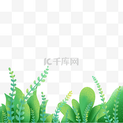 清新夏日绿色植物边框png免抠图