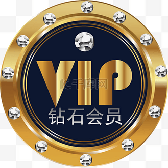 字样图标贵宾会员标志图标电商促销个人vip和企业vip