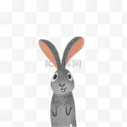 卡通兔子免抠图图片_灰色的兔子免抠图