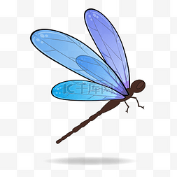 png蝴蝶蜻蜓图片_光感荧光蝴蝶蜻蜓蓝色