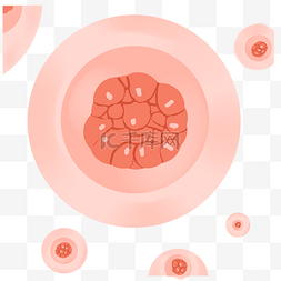 细胞粉色平面医疗卵细胞免抠