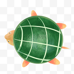 卡通乌龟海龟