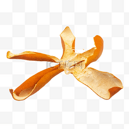 橘黄色子皮