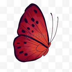 红色创意枫叶背景图片_卡通红色蝴蝶插画