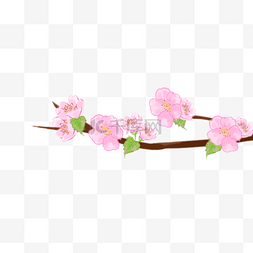 樱花树樱花节春天粉色系手绘装饰