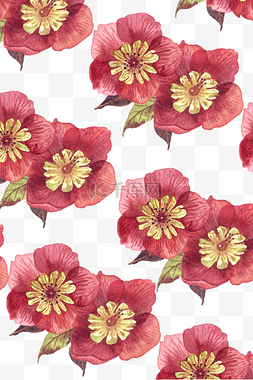 水彩鲜花底纹图片_水彩红色花卉底纹