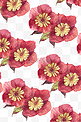 水彩红色花卉底纹