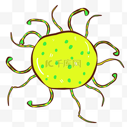 黄色毛球细菌