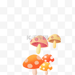 彩色的蘑菇图片_四朵美味的蘑菇