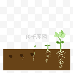 种子在泥土里图片_春季种子发芽生长