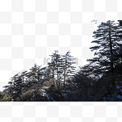 江山秀丽图片_风景秀丽树木旺盛的山峰