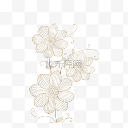 线条花卉植物图片_金色线描花卉植物