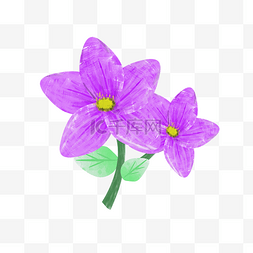 彩绘紫色花朵插画