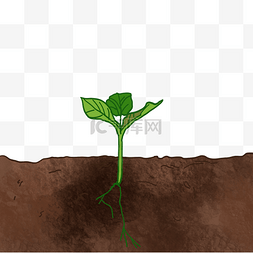 土壤剖面元素图片_绿色植物土壤剖面