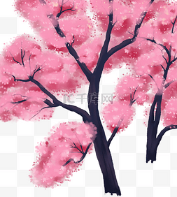 樱花节粉色樱花风景