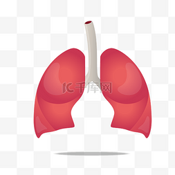 事事如意图图片_人体器官肺部插画