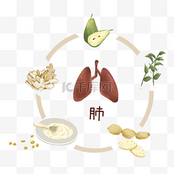 杀菌消炎图片_中医食疗药材护肝熬夜