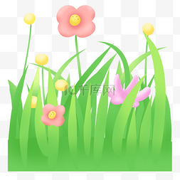 彩色小花图片_草丛和彩色小花