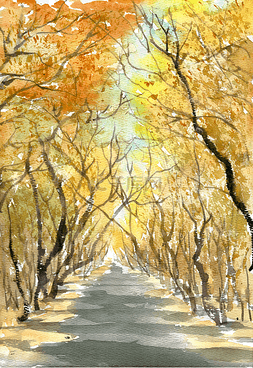 秋天的道路
