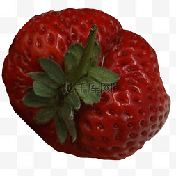 草莓实拍素材图片_田地种植一个大草莓