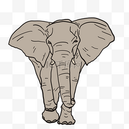 大象图腾图片_大耳朵非洲象