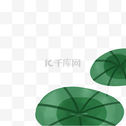 绿色的荷叶免抠图