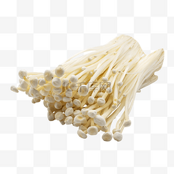 金针菇图片_白色金针菇小吃