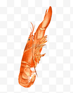 立体装饰小龙虾插图