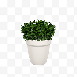 立3d图片_立体绿色植物盆栽C4D插图