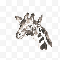 长颈鹿的头部水墨画PNG免抠素材
