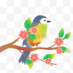 春季小鸟图片_春季水彩花枝小鸟
