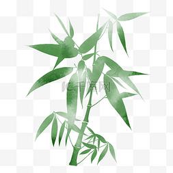 富贵竹绿色竹子