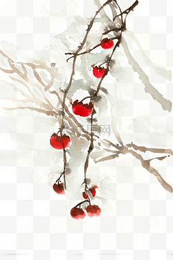 手绘淡雅植物图片_水彩画挂满霜雪的红果