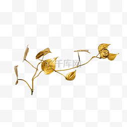 金色植物叶子图片_树枝金色叶子