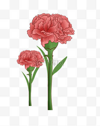 母亲节红色康乃馨水彩手绘插画png免抠个人vip和企业vip免费下载免抠