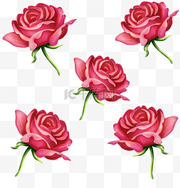 手绘春天红色花朵图片_手绘仿真写实花朵玫瑰